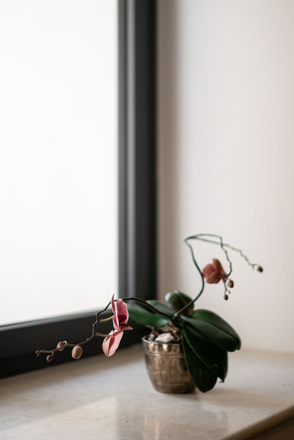 chic B&B Veronetta - fotografia interni Vesta Interiors